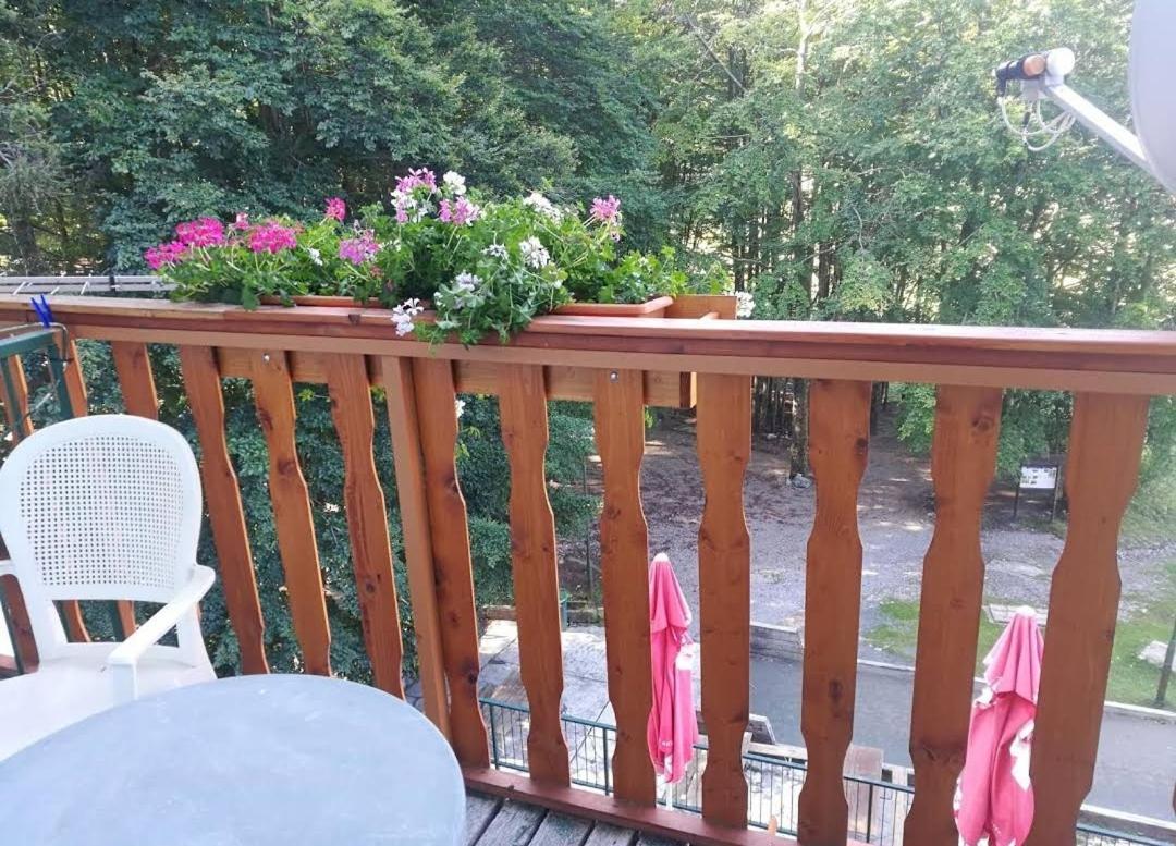 Great Mountain B&B Platak Exterior foto