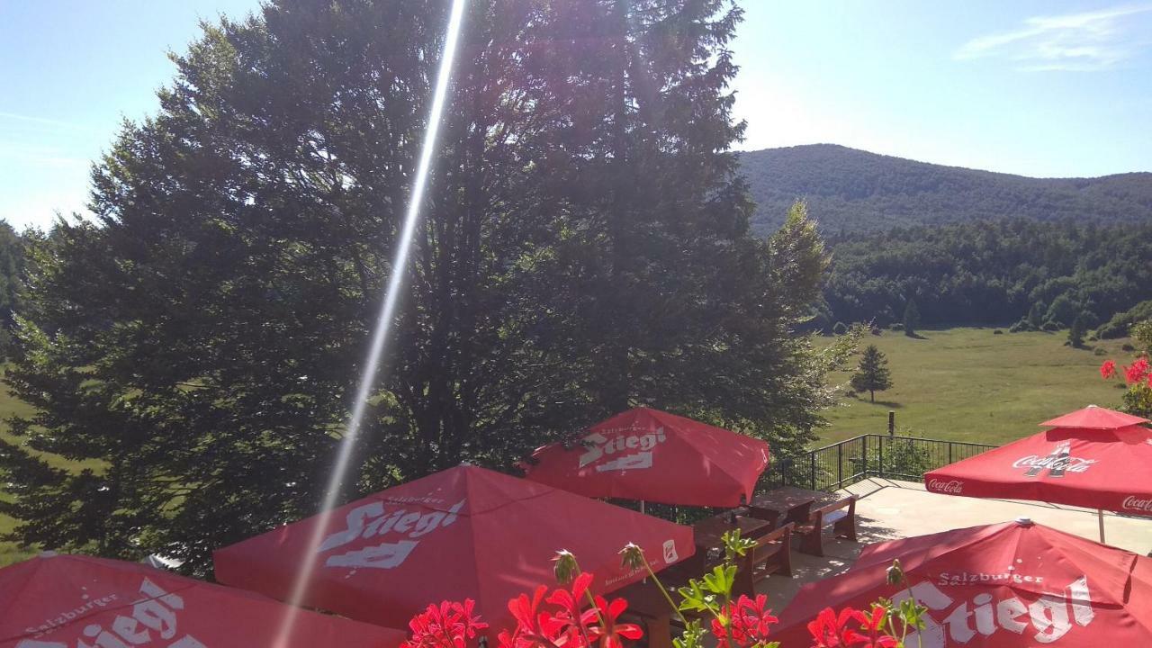 Great Mountain B&B Platak Exterior foto